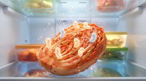 김치 속에서 활발하게 활동하며 탄산 기포를 만들어내는 유산균